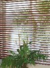 Thumbnail PERSIANA HORIZONTAL 20
